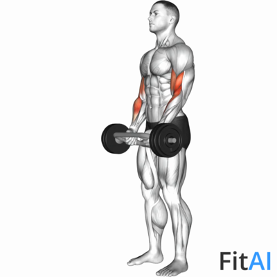 Olympic Barbell Hammer Curl