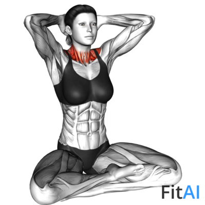 Sitting Neck Stretch