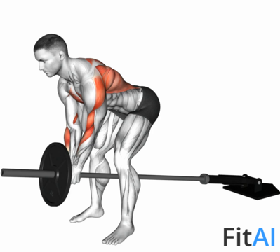Lever Bent-Over Row (Plate)