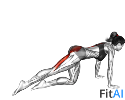 Kneeling Straight Leg Kickback (V2)