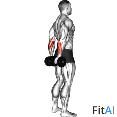 Dumbbell Standing Back Wrist Curl