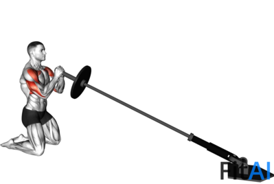 Landmine Kneeling Squeeze Press