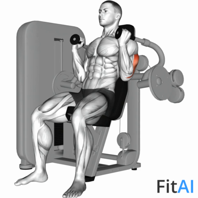 Lever Triceps Extension alternative