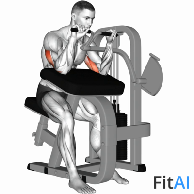 Lever Triceps Extension