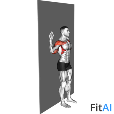 Bodyweight Standing Military Press Wall Supported
