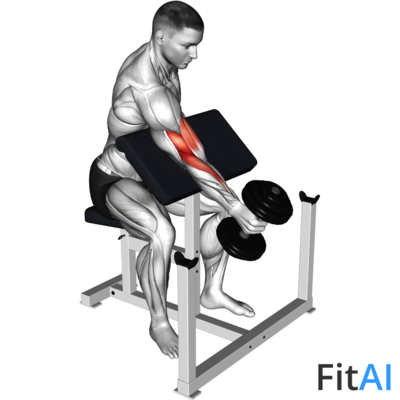 Dumbbell One Arm Hammer Preacher Curl