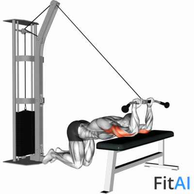 Cable Kneeling Triceps Extension