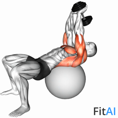 Dumbbell Pullover on Stability ball
