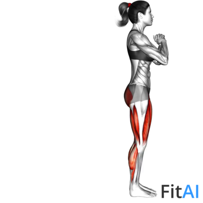 Bodyweight Reverse Lunge High Knee