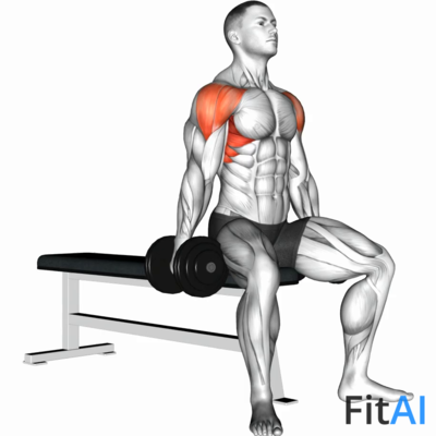 Dumbbell Seated Lateral Raise alternative