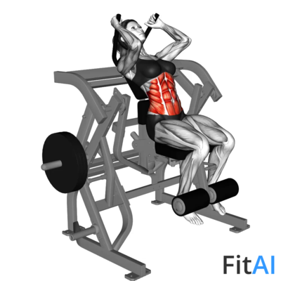 Lever Seated Leg Raise Crunch (Plate) alternative