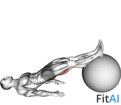 One Legged Diagonal Kick Hamstring Curl with Stability ball