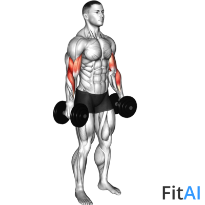 Dumbbell Alternate Biceps Curl