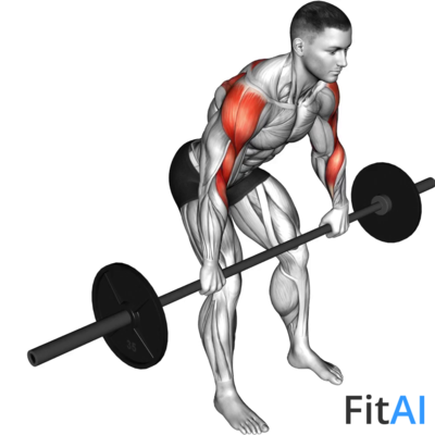 Barbell Rear Delt Row