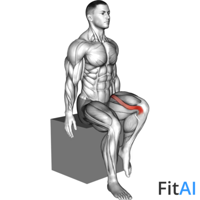 Hip - Lateral Rotation (External Rotation)