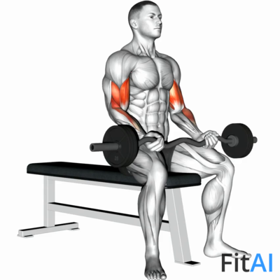 EZ-Barbell Seated Curls