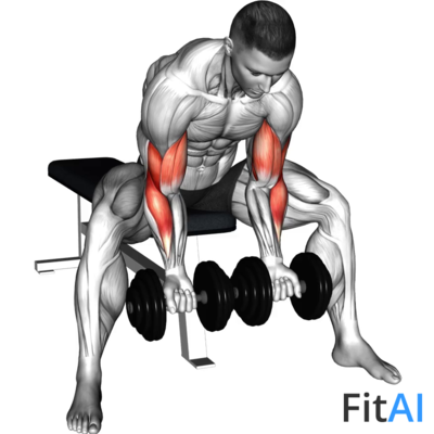 Dumbbell Seated Double Concentration Curl