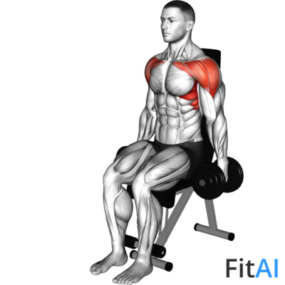 Dumbbell Seated Front Raise