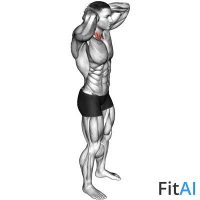 Posterior Neck Isometric