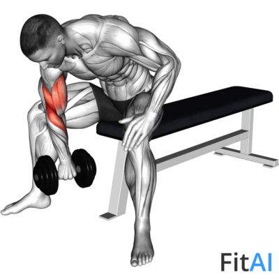 Dumbbell Seated Reverse-Grip Concentration Curl