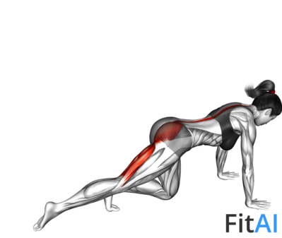 Kneeling Back Leg Lift Curl