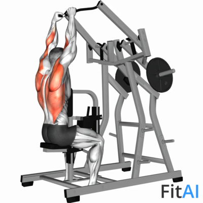 Lever Lateral Pulldown (Plate)