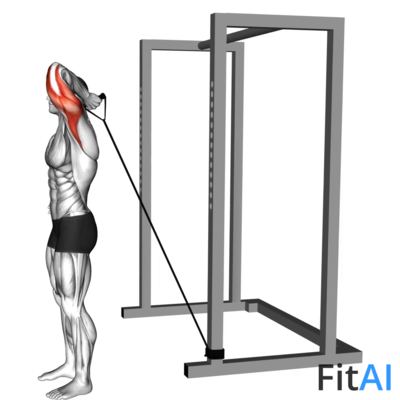 Band Overhead One Arm Triceps Extension