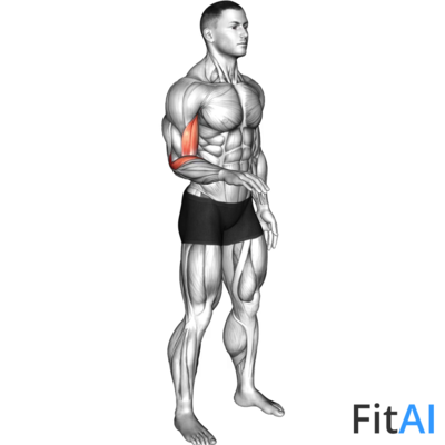 Forearm - Supination