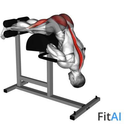 Glute Ham Developer Hip Extension