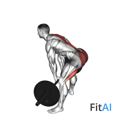 Barbell Sumo Romanian Deadlift