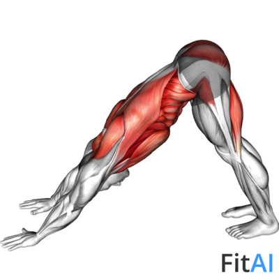 Alternating Leg Downward Dog