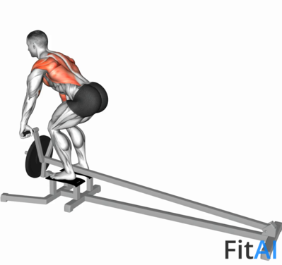 Lever T-bar Row (Plate)