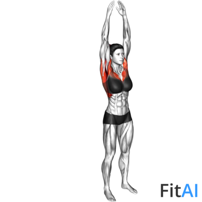 Front and Back Arms Rotation