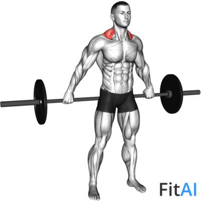 Barbell Back Wide Shrug