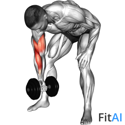 Dumbbell Standing Concentration Curl