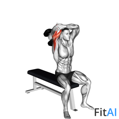 Dumbbell Seated One Arm Triceps Extension