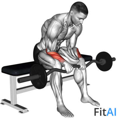 EZ-Bar Seated Wrist Reverse Curl