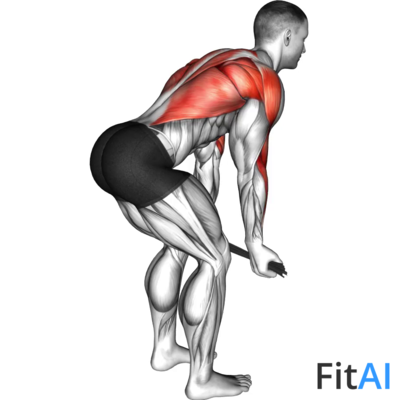 Bent-over Row with Towel