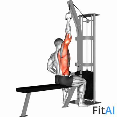 Cable One Arm Lat Pulldown