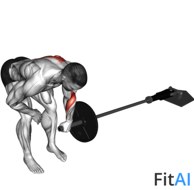 Landmine One Arm Bent-Over Row