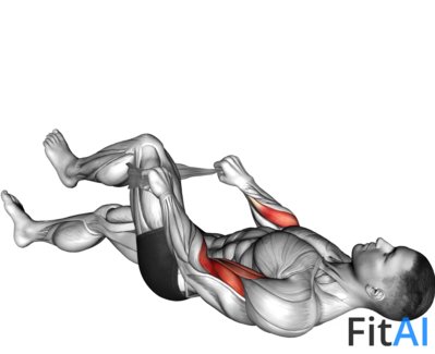Lying One Leg Reverse Biceps Curl with Towel