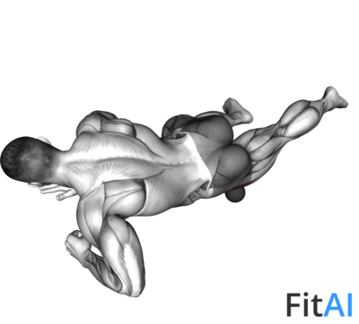 Roll Ball Tensor Fasciae Latae