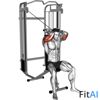 Cable Seated High Pulley Overhead Tricep Extension