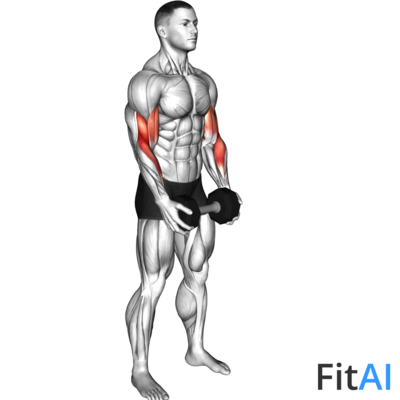 Dumbbell Standing Hammer Curl