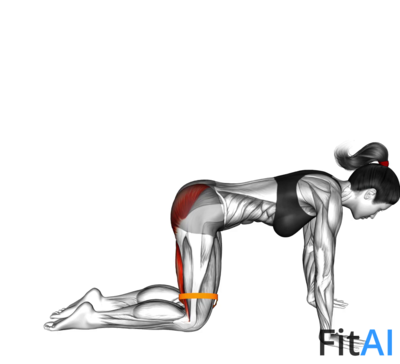 Resistance Band Bent Leg Kickback (Kneeling)