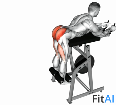 Lever Reverse Hyperextension (Plate)