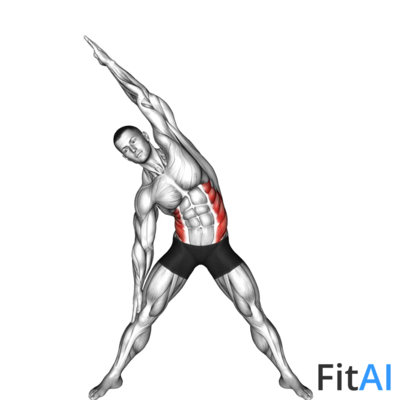 Standing Obliques Slides
