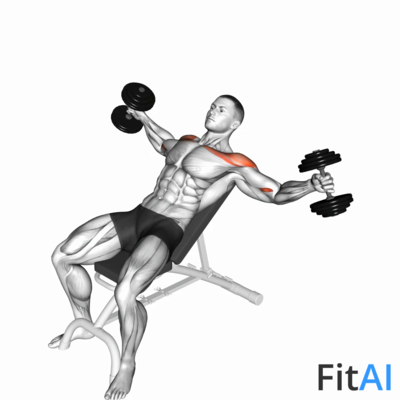 Dumbbell Incline Breeding