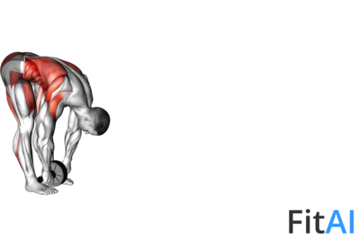 Standing Wheel Rollout