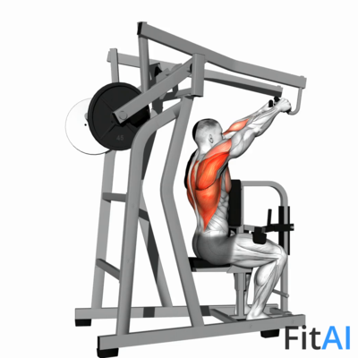 Lever High Row (Plate)